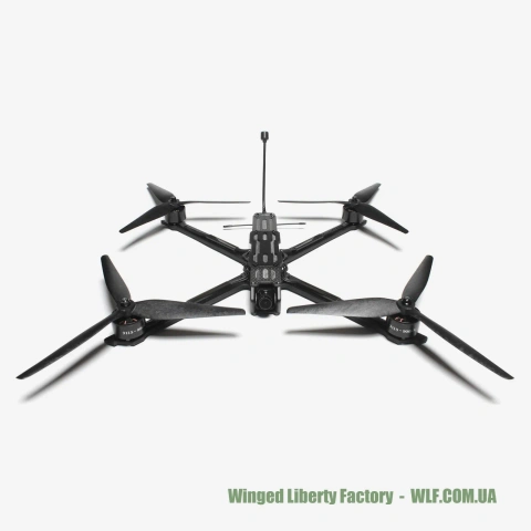 FPV Дрон WLF Freedom-10 10" з АКБ (3115 900kv, 2.5W VTX)