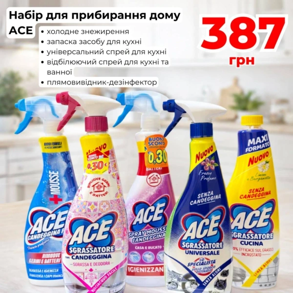 Набір для прибирання дому ACE 5 шт (жировидалювач та дезінфектор)
