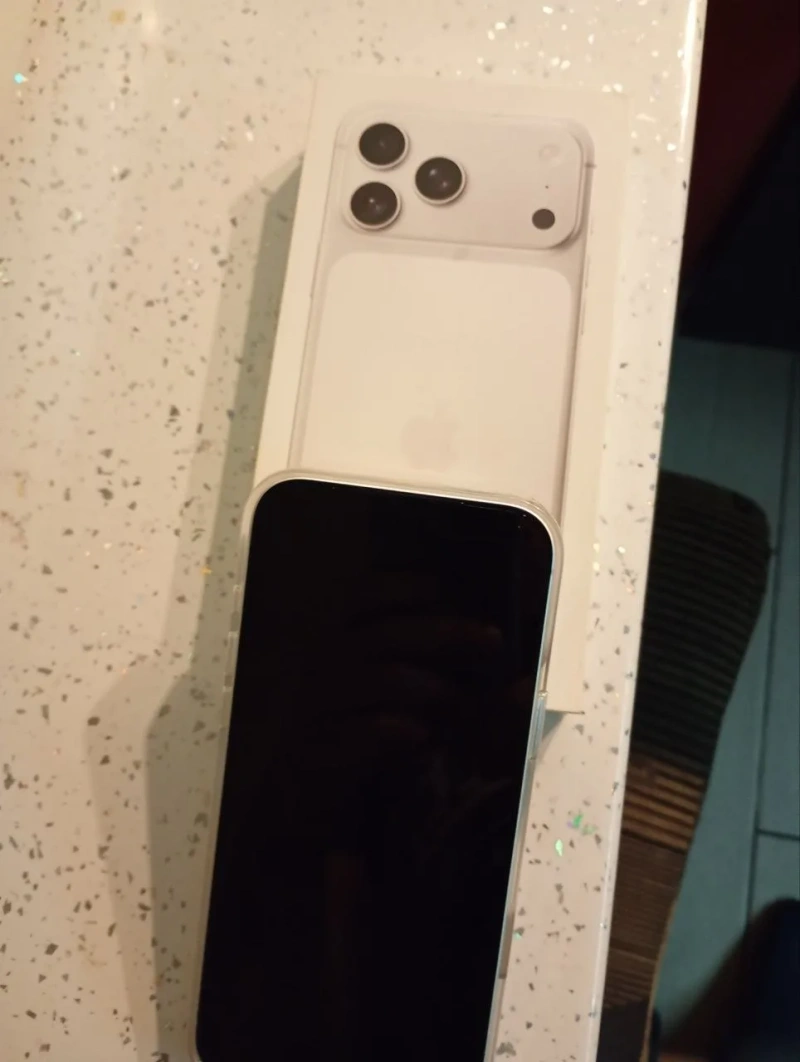 iPhone 17 Pro Max 256GB Silver — фото 2