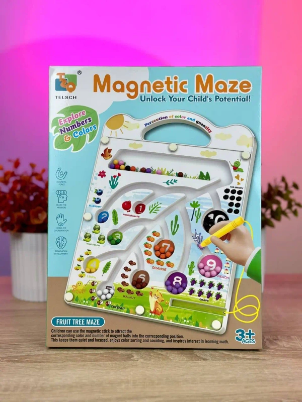 Магнитная игра Telsch Magnetic Maze для детей от 3 лет