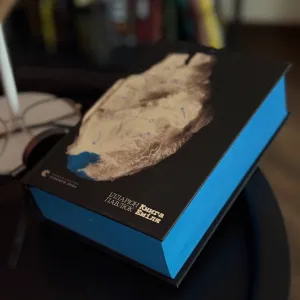 Книга Еміля Іларіон Павлюк