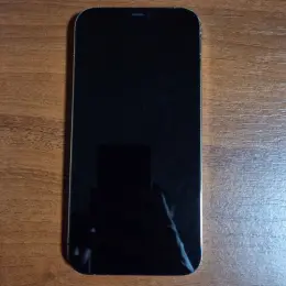 iPhone 12 Pro Max 256GB Graphite