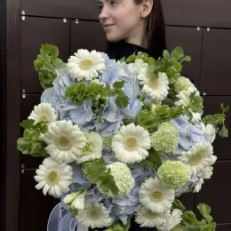 Букет "Ніжний подих" з гербер, молюцели, ранункулюсів та гортензії