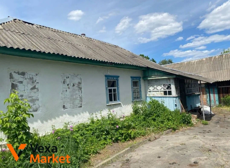 Продаж будинку в с. Горностайпіль, Київська область — фото 5