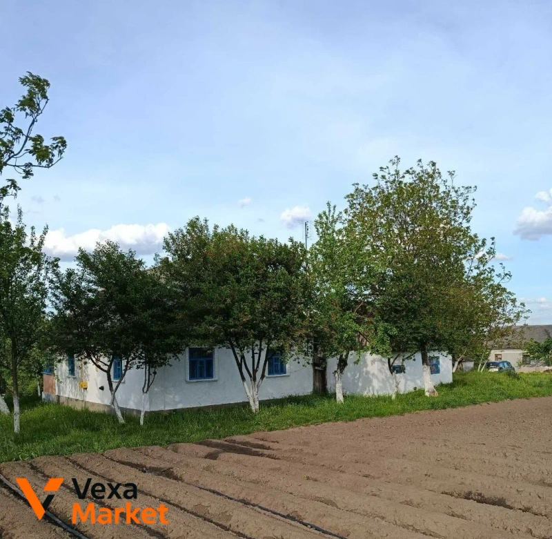 Продаж житлового будинку в с. Великі Вікнини, Кременецький район — фото 3