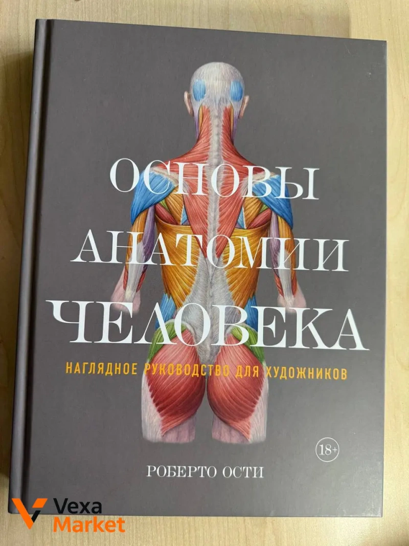 Книги для художников: Эндрю Лумис и Роберто Ости — фото 2