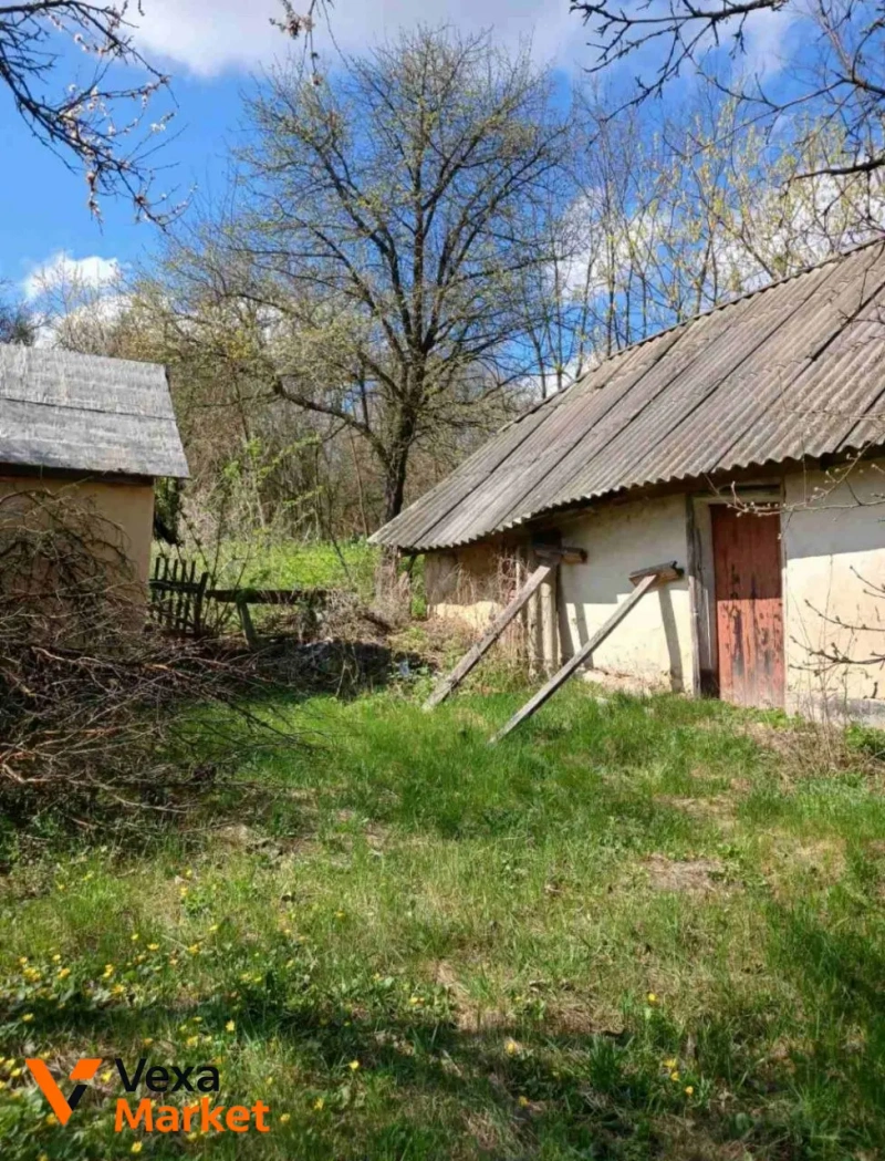 Будинок в с. Косівка, Олександрійський район, Кіровоградська область — фото 7