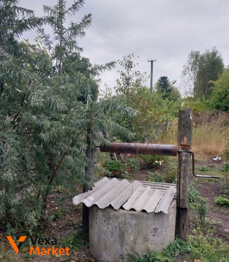 Будинок, с. Перебудова, Ніжинський район, Чернігівська область — фото 3