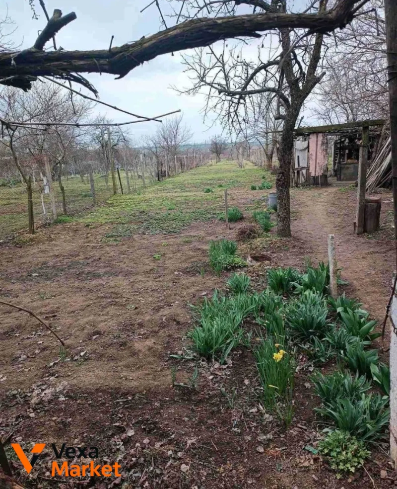 Продаж будинку в с. Молога, Одеська область — фото 5