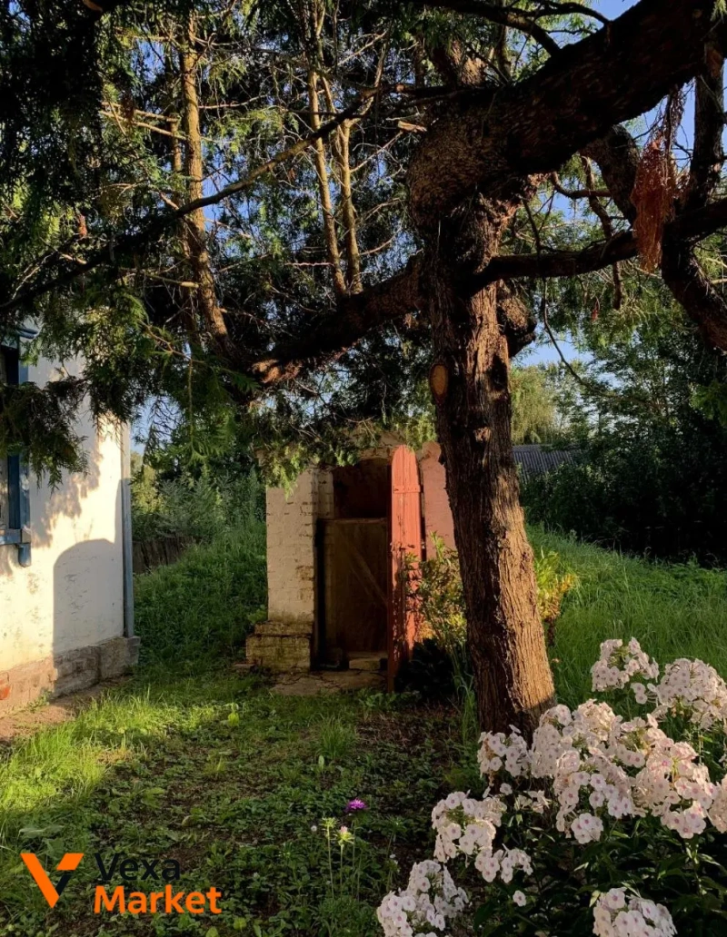 Продаж будинку в с. Хибалівка, Чернігівський район — фото 3