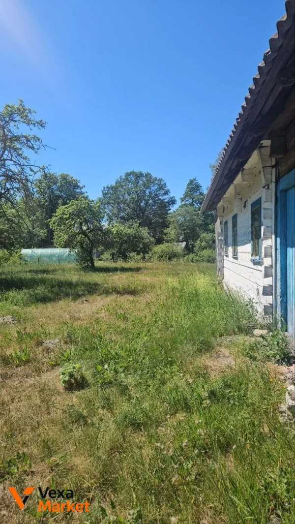 Будинок в с. Заліси, Ковельський район, Волинська область - продаж/оренда