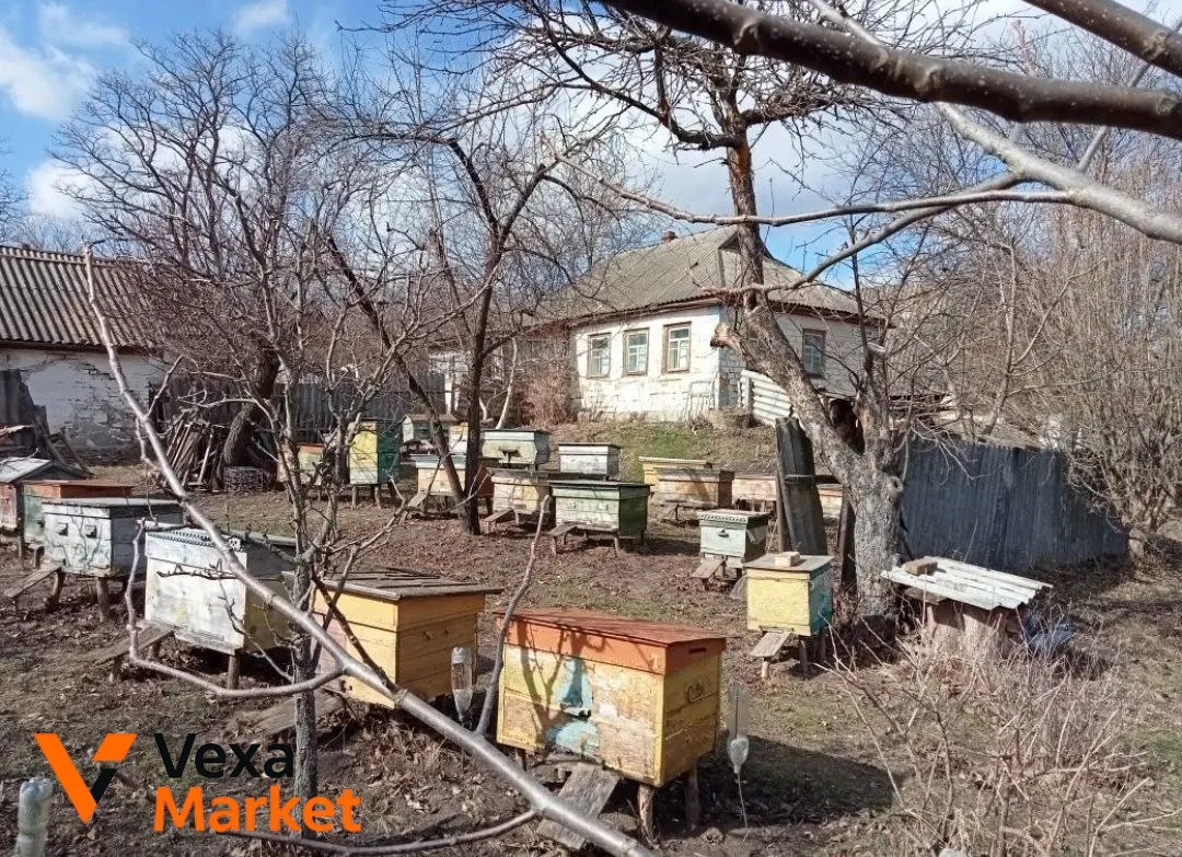 Продаж будинку та пасіки в с. Куцівка, Черкаська область