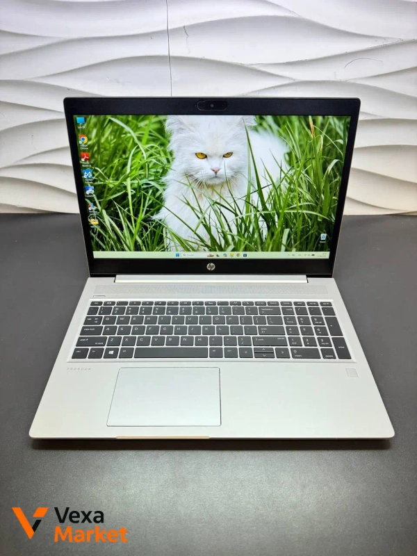 Ноутбук HP Probook 450 G7 Ryzen 7 4700U 15.6" Full HD IPS 16Gb 256Gb SSD