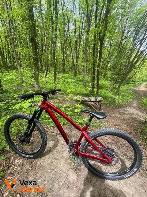 Велосипед Dartmoor Hornet M 2019