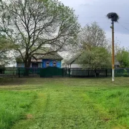 Продаж будинку в с. Монастирище, Ічнянський район, Чернігівська область