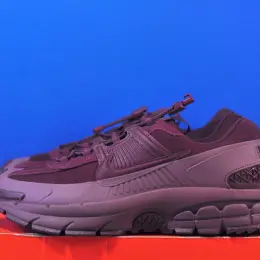 Nike Zoom Vomero Roam Burgundy Crush HQ2181-500