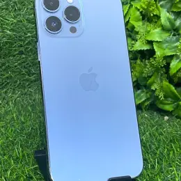iPhone 13 Pro Max 256GB