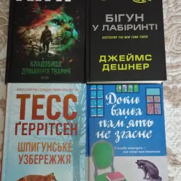 Книги: Кладовище домашніх тварин, Бігун у лабіринті, Шпигунське узбережжя, Доки ваша пам'ять не згасне