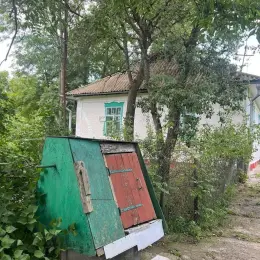 Продаж будинку в с. Велика Севастянівка, Уманський район, Черкаська область