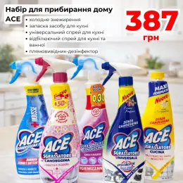 Набір для прибирання дому ACE: видаляє жир, дезінфікує, повертає блиск