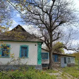Продаж будинку в с. Радевичеве, Криворізький район