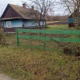 Будинок з ділянкою 25 соток в с. Залісся, Шацький район