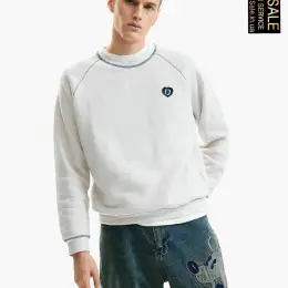 Чоловічий світшот Desigual сірий