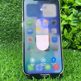 iPhone 12 Pro Max 256GB