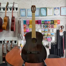 Класична гітара з металевими струнами Ernie Ball