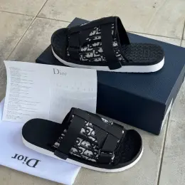 Dior Sliper Grey