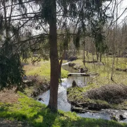 Продаж будинку в с. Старе Село, Стрийський район, Львівська область