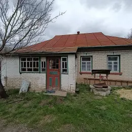 Будинок з меблями та технікою в с. Бірки, Кіровоградська область