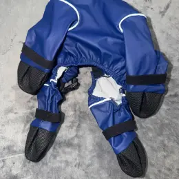 Дощовик для собак з взуттям