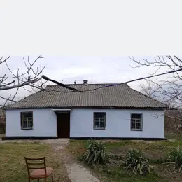 Будинок в с. Петриківка, Дніпропетровська область