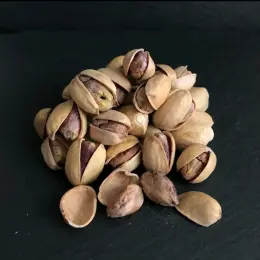 Фісташка солона