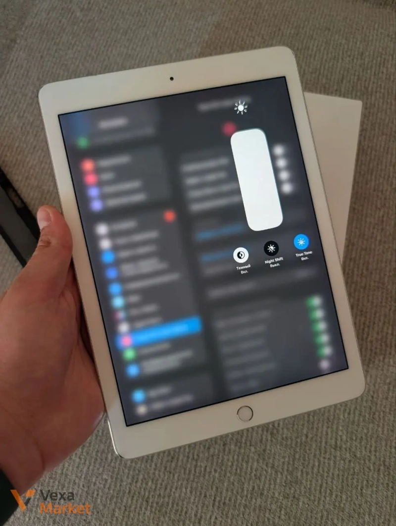 Apple iPad Pro 9.7" 256GB Wi-Fi + Cellular Silver — фото 3