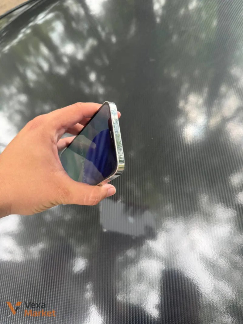 iPhone 12 Pro Max 256GB Silver — фото 4