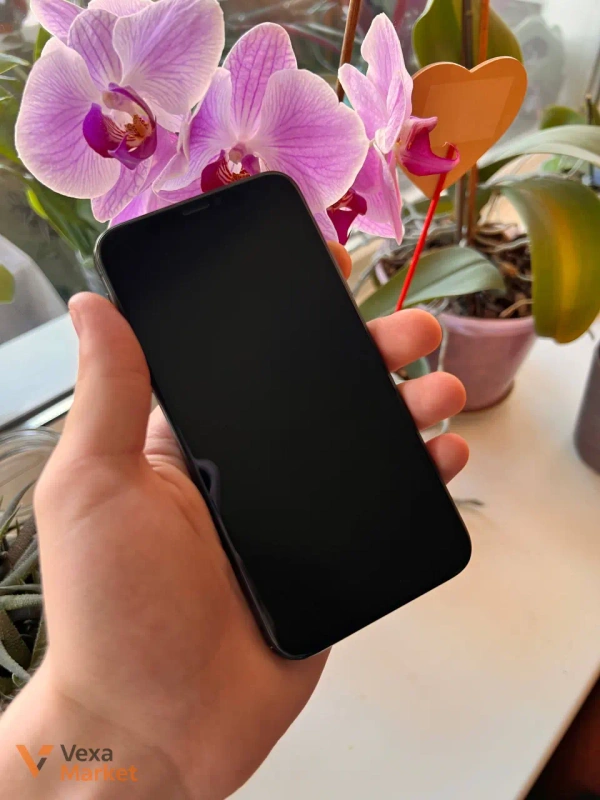 iPhone X 256GB