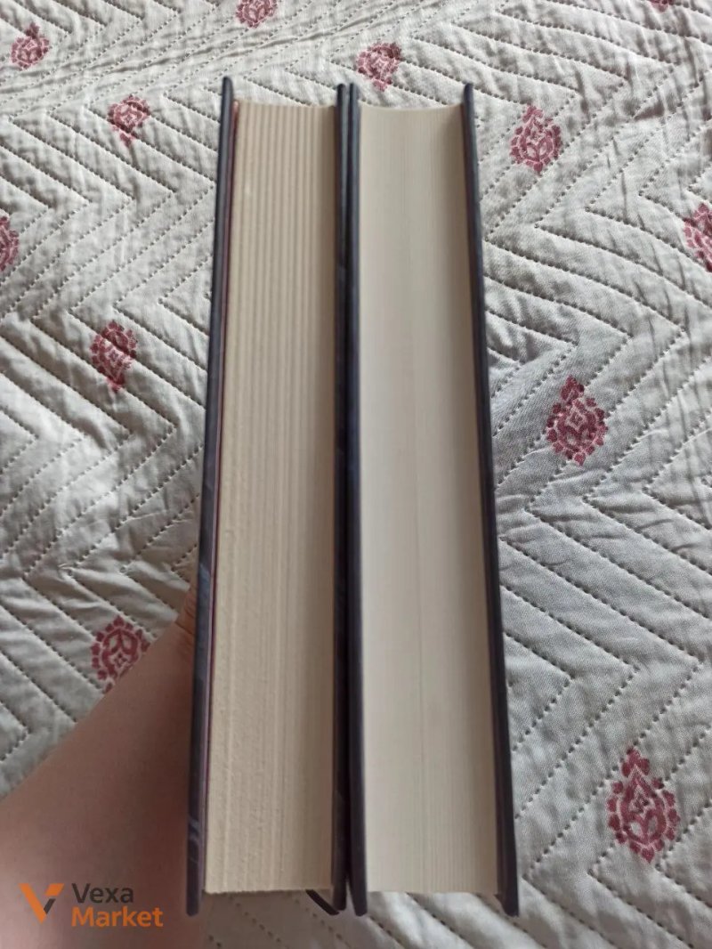 Книги Емі Гармон "Перша дівчинка+" та "Другий сліпий син" — фото 2