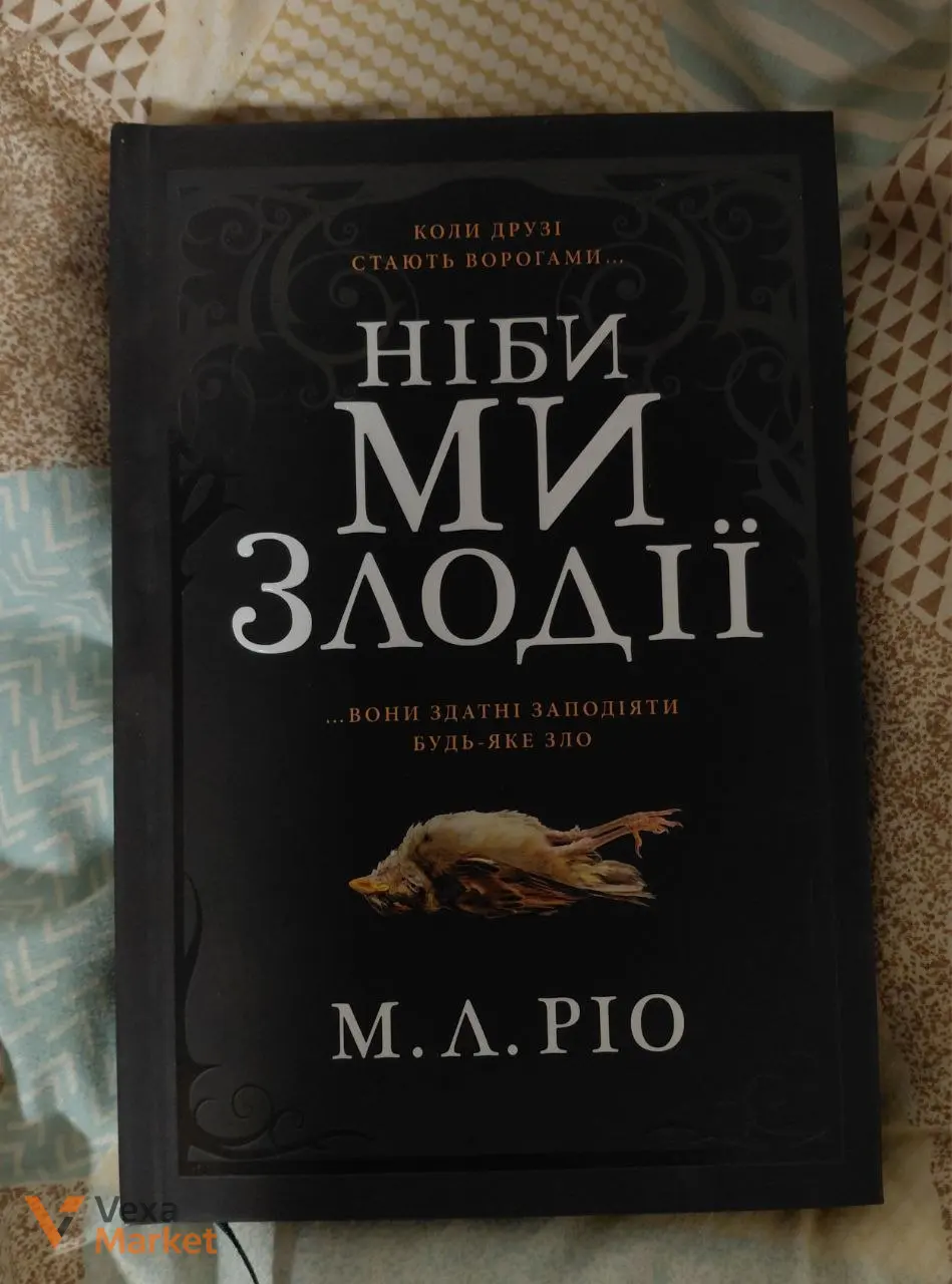 Книги "Захопити 13" та "Ніби ми злодії" — фото 2