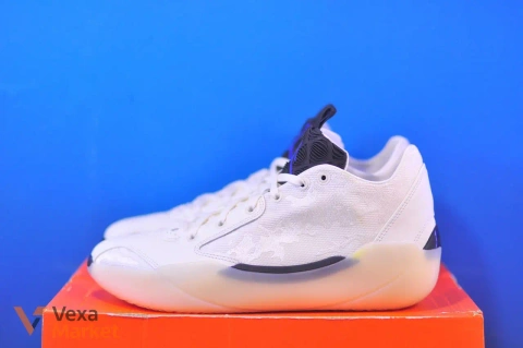 Nike Air Jordan XXXIX FQ0213-104