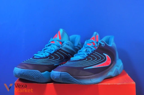 Nike Giannis Immortality 4 FQ3680-302 синие/красные мужские кроссовки размер 43