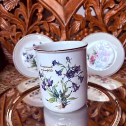 Villeroy & Boch Campanula rotundifolia кружка и блюдца