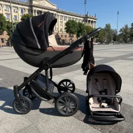 Коляска Anex m/type Pro 2в1