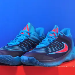 Nike Giannis Immortality 4 FQ3680-302 синие/красные мужские кроссовки размер 43