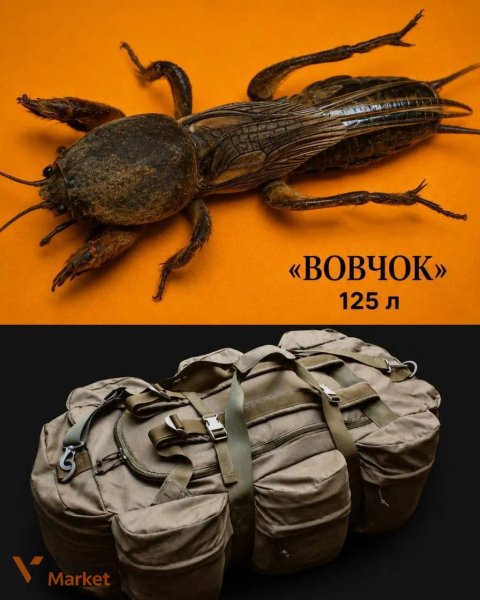 Баул 125 л + Ranger Roll