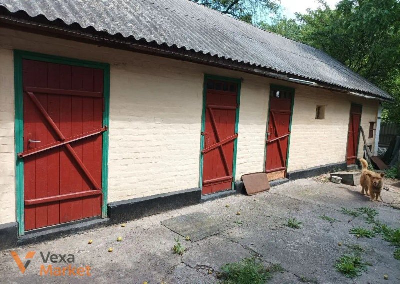 Будинок 48 кв.м на ділянці 30 соток в с-щі Верхнячка, Черкаська область — фото 3