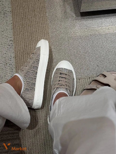 Кеди Dior DiorSneakers08 40/1
