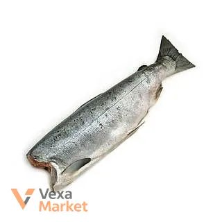 Лосось тушка, без голови, 1-1.2 кг