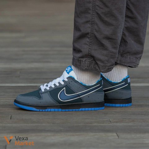 Nike Dunk Low Pro SB